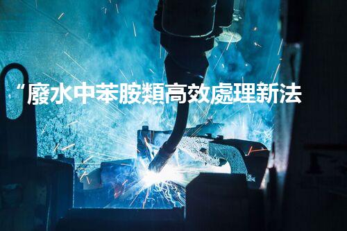 “廢水中苯胺類高效處理新法，環(huán)保先鋒引領(lǐng)綠色以后”